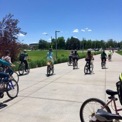 People riding bicycles in group